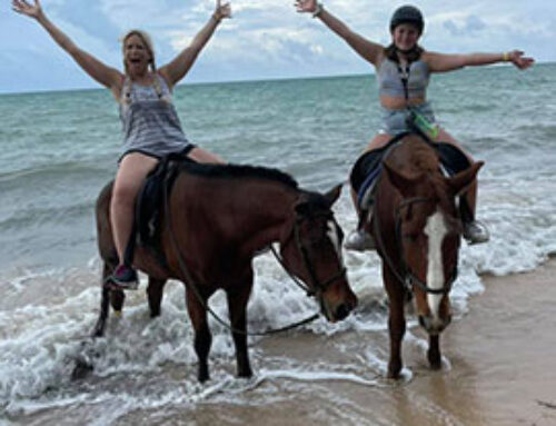 Ride a Horse in the Ocean