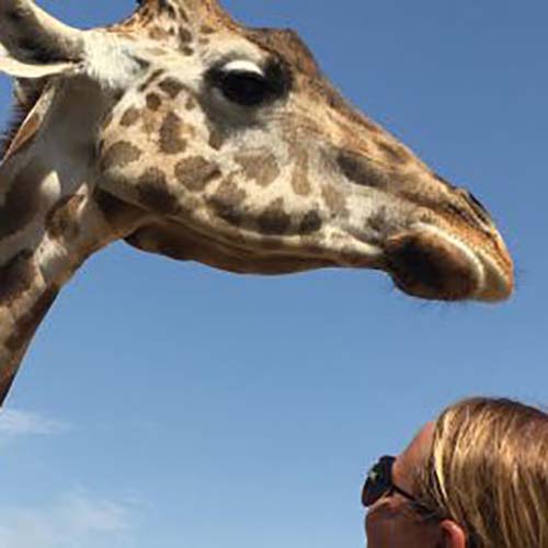 Live It List giraffe feeding by Minneapolis Prosperwell Financial